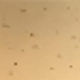 ' 